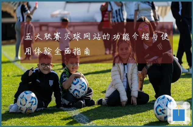 五大联赛买球网站的功能介绍与使用体验全面指南