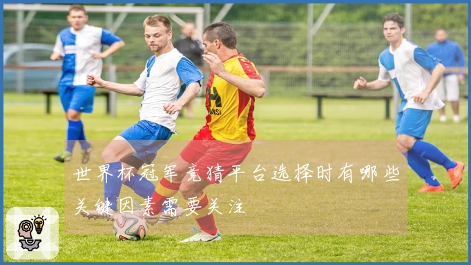 世界杯冠军竞猜平台选择时有哪些关键因素需要关注