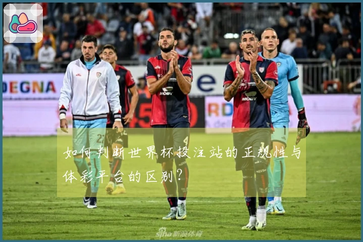 如何判断世界杯投注站的正规性与体彩平台的区别？