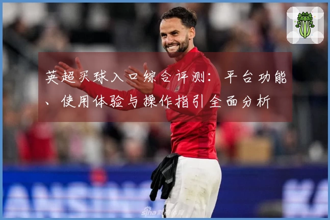 英超买球入口综合评测:平台功能、使用体验与操作指引全面分析