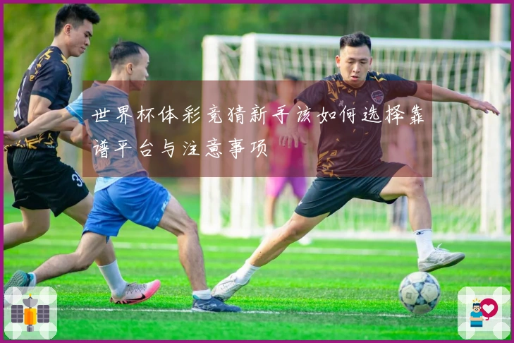 世界杯体彩竞猜新手该如何选择靠谱平台与注意事项