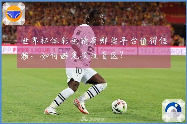 世界杯体彩竞猜有哪些平台值得信赖，如何避免投注盲区？
