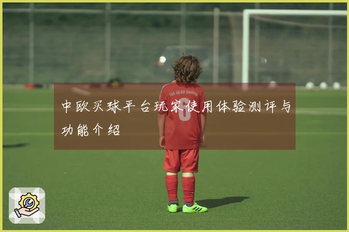 中欧买球平台玩家使用体验测评与功能介绍