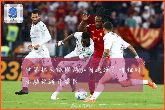 世界杯买球网站如何选择？详细对比助你避开雷区