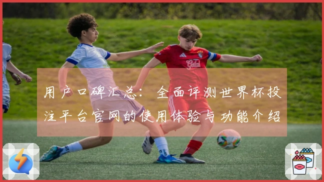 用户口碑汇总：全面评测世界杯投注平台官网的使用体验与功能介绍