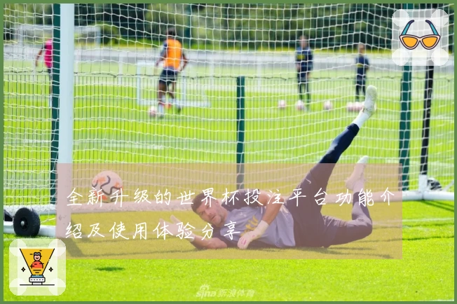 全新升级的世界杯投注平台功能介绍及使用体验分享