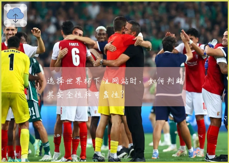 选择世界杯下注网站时，如何判断其安全性和可靠性？