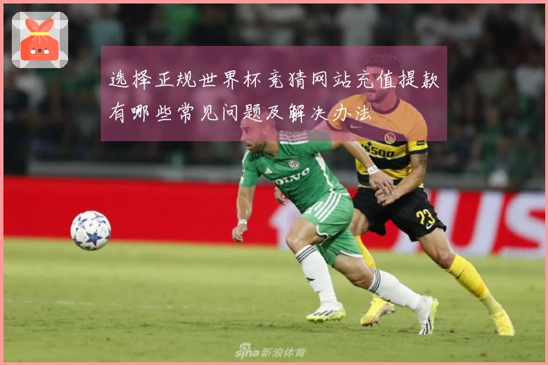 选择正规世界杯竞猜网站充值提款有哪些常见问题及解决办法