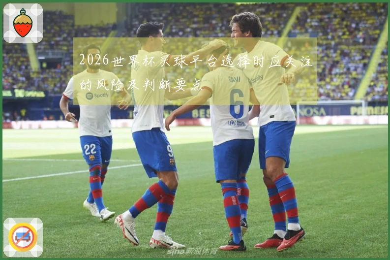 2026世界杯买球平台选择时应关注的风险及判断要点