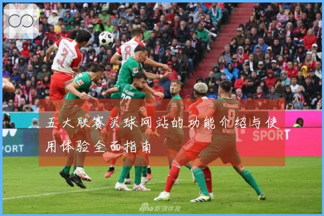 五大联赛买球网站的功能介绍与使用体验全面指南