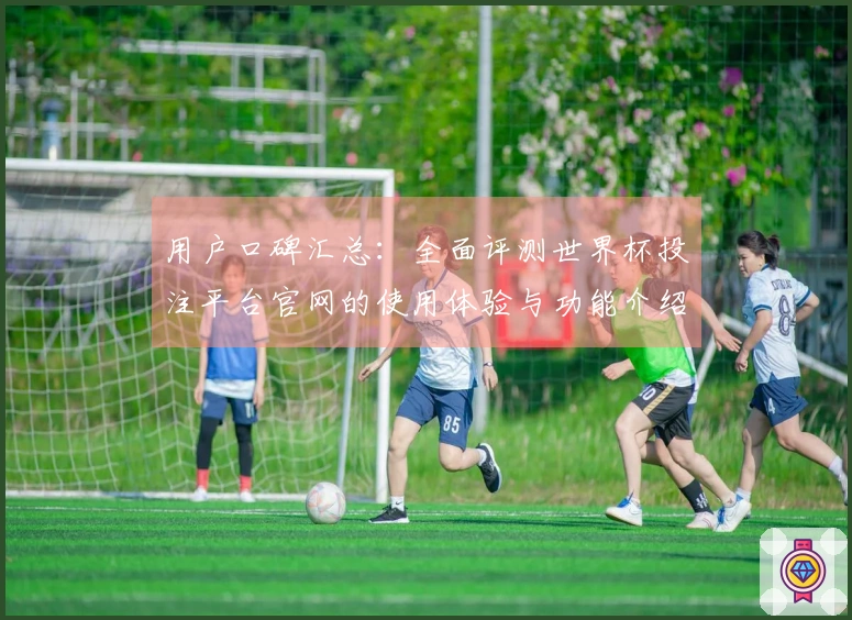 用户口碑汇总:全面评测世界杯投注平台官网的使用体验与功能介绍