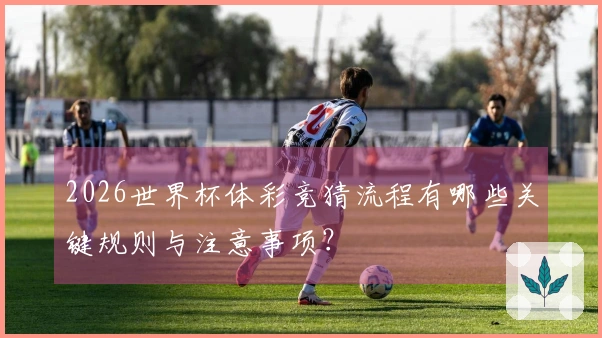 2026世界杯体彩竞猜流程有哪些关键规则与注意事项？