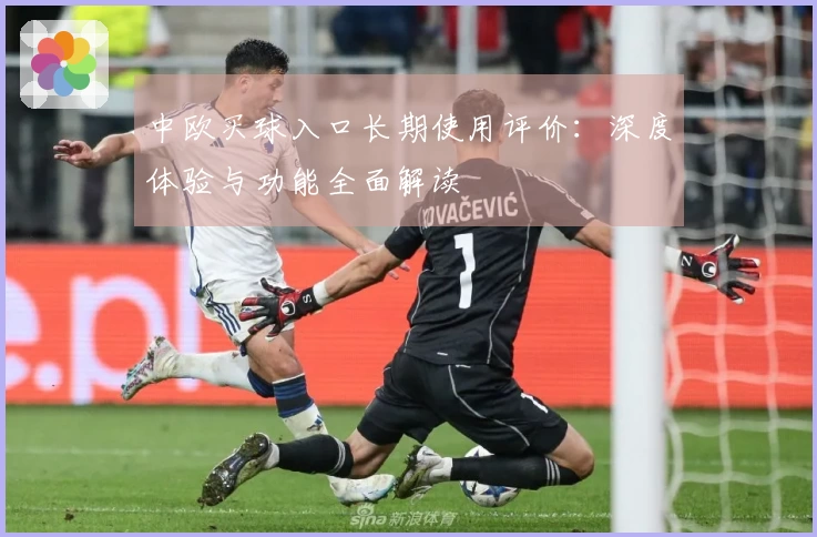 中欧买球入口长期使用评价：深度体验与功能全面解读