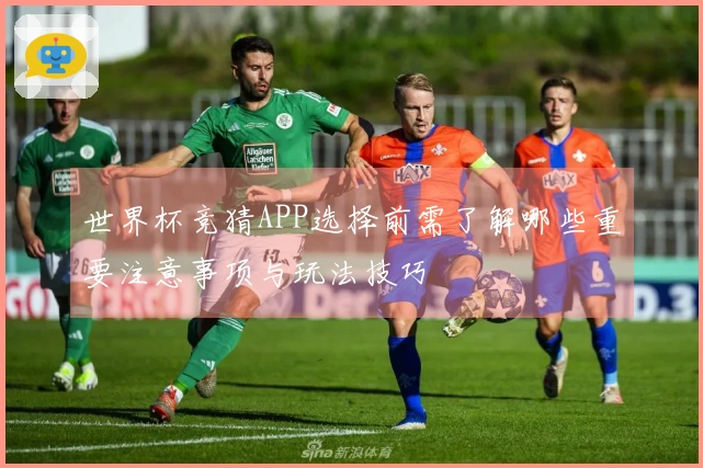 世界杯竞猜APP选择前需了解哪些重要注意事项与玩法技巧