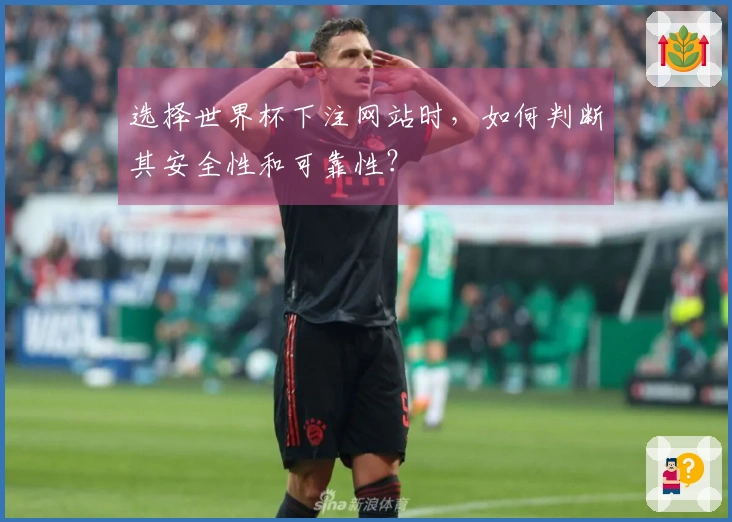 选择世界杯下注网站时，如何判断其安全性和可靠性？