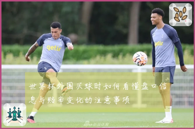 世界杯外围买球时如何看懂盘口信息与赔率变化的注意事项