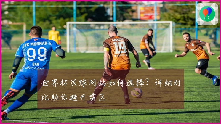 世界杯买球网站如何选择？详细对比助你避开雷区