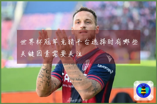世界杯冠军竞猜平台选择时有哪些关键因素需要关注