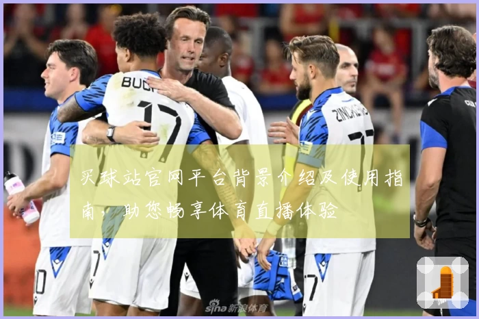 买球站官网平台背景介绍及使用指南，助您畅享体育直播体验